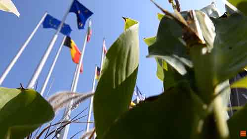 2024 Conference | That is why the centre is the answer